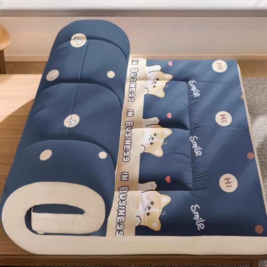 Matelas Futon de chambre confortable